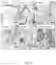 Fig. 06 - CELL CULTURE DEVICE