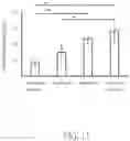 Fig. 13 - CELL CULTURE DEVICE