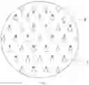 Fig. 05 - HIGH DENSITY DISTRIBUTED THREE-DIMENSIONAL ELECTRODE DEVICE