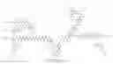 Fig. 22 - STEREOSELECTIVE PH RESPONSIVE PEPTIDE DENDRIMERS FOR NUCLEIC ACID TRANSFECTION