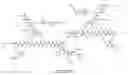 Fig. 24 - STEREOSELECTIVE PH RESPONSIVE PEPTIDE DENDRIMERS FOR NUCLEIC ACID TRANSFECTION