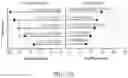 Fig. 08 - RAPID PREDICTION OF DRUG RESPONSIVENESS