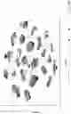 Fig. 28 - RAPID PREDICTION OF DRUG RESPONSIVENESS