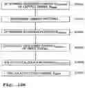 Fig. 09 - APPARATUS AND METHOD FOR ANALYSING THE CONDITION OF A MACHINE HAVING A ROTATING PART