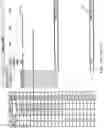 Fig. 24 - APPARATUS AND METHOD FOR ANALYSING THE CONDITION OF A MACHINE HAVING A ROTATING PART