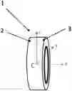 Fig. 01 - PROCESS FOR DETERMINING THE RELIABILITY OF A SENSORIZED ROLLER BEARING