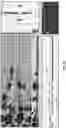 Fig. 45 - Robotic inspection devices for simultaneous surface measurements at multiple orientations