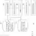 Fig. 07 - IMAGE PROCESSING DEVICE, PERSON SEARCH SYSTEM, IMAGE PROCESSING METHOD, AND NON-TRANSITORY COMPUTER READABLE MEDIUM