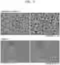 Fig. 04 - Method of forming perovskite thin film and light-emitting device including layer manufactured thereby