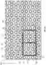 Fig. 02 - Matrix addressable vertical cavity surface emitting laser array