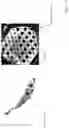 Fig. 16 - SYSTEM, METHOD, AND DEVICE FOR PERFORMING ARTHROGRAPHY