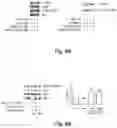 Fig. 07 - Compositions and methods for treating Alzheimer's disease