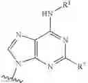 Fig. 320 - Highly active compounds against COVID-19