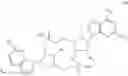 Fig. 02 - Cyclic dinucleotides as agonists of stimulator of interferon gene dependent signalling