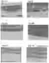 Fig. 02 - BIOADHESIVE SHEET-SHAPED MATERIAL FOR ATTACHING ONTO SURFACE OF ORGAN