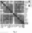 Fig. 05 - ENGINEERED CARTILAGE