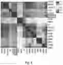 Fig. 07 - ENGINEERED CARTILAGE
