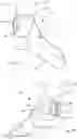 Fig. 02 - SYSTEM, METHOD, AND APPARATUS FOR APPLYING ELECTRICAL STIMULATION