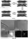 Fig. 08 - NANOPARTICLES AND SYSTEMS AND METHODS FOR SYNTHESIZING NANOPARTICLES THROUGH THERMAL SHOCK