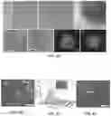 Fig. 09 - NANOPARTICLES AND SYSTEMS AND METHODS FOR SYNTHESIZING NANOPARTICLES THROUGH THERMAL SHOCK