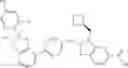 Fig. 183 - PHENYL-[1,3]DIOXOLO[4,5-C]PYRIDINYL-PHENYL-, PHENYL-[1,3]DIOXOLO[4,5-C]PYRIDINYL-HETEROARYL-, OR PHENYL-(1,3)DIOXO[4,5-C]PYRIDINYL-PIPERIDINYL-METHYL-OXETANYLMETHYL-1H-BENZO[D]IMIDAZOLE-CARBOXYLIC ACID DERIVATIVES AND METHODS OF USING SAME