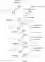 Fig. 09 - 3′ protected nucleotides