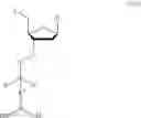 Fig. 45 - 3′ protected nucleotides