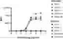 Fig. 01 - RECOMBINANT ANTIBODIES, PHARMACEUTICAL COMPOSITIONS COMPRISING THE SAME, AND USES THEREOF