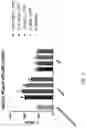 Fig. 07 - Compositions and methods for modulating hepatocyte nuclear factor 4-alpha (HNF4α) gene expression