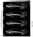 Fig. 41 - LIPOSOMAL SPHERICAL NUCLEIC ACID (SNA) CONSTRUCTS FOR SPLICE MODULATION