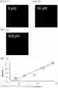 Fig. 08 - METHOD AND KIT FOR DETECTING TARGET NUCLEIC ACID FRAGMENT
