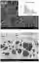 Fig. 02 - Wheat gluten nanofiber, method for preparing the same and application thereof