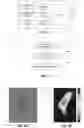 Fig. 09 - Brillouin imaging devices, and systems and methods employing such devices preliminary class