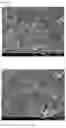 Fig. 04 - Ion detection sensor fabrication method and ion detection sensor fabricated by the same