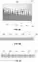 Fig. 07 - Composite video generation