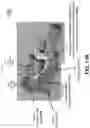 Fig. 22 - Pad raising mechanism in wafer positioning pedestal for semiconductor processing