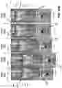 Fig. 24 - Pad raising mechanism in wafer positioning pedestal for semiconductor processing