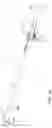 Fig. 14 - Locking grounding clamp