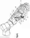 Fig. 22 - Capital fragment guide and related methods