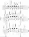 Fig. 07 - CORRECTIVE APPLIANCE
