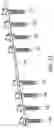 Fig. 10 - PEDICLE SCREW HAVING A REMOVABLE ROD COUPLING