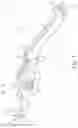 Fig. 02 - Offset acetabular shell impactor adapter
