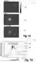 Fig. 03 - Wireless neuromodulation via microwave split ring resonator