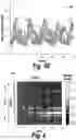 Fig. 11 - Wireless neuromodulation via microwave split ring resonator