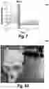 Fig. 16 - Wireless neuromodulation via microwave split ring resonator