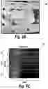 Fig. 17 - Wireless neuromodulation via microwave split ring resonator