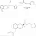 Fig. 16 - Subcutaneous delivery of polymer conjugates of therapeutic agents