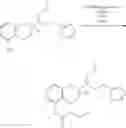 Fig. 18 - Subcutaneous delivery of polymer conjugates of therapeutic agents