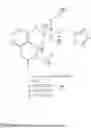 Fig. 19 - Subcutaneous delivery of polymer conjugates of therapeutic agents