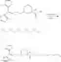 Fig. 33 - Subcutaneous delivery of polymer conjugates of therapeutic agents